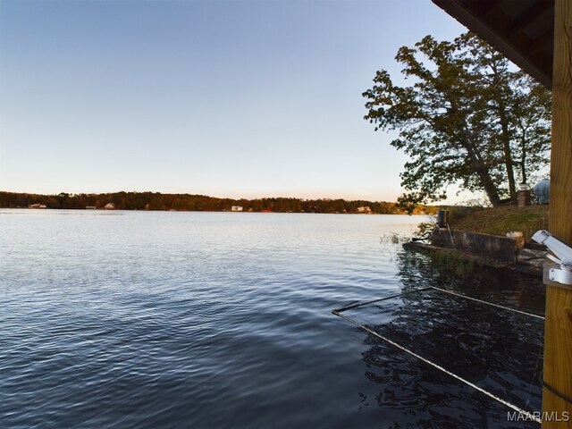 983 Lake Haven Dr, Deatsville, AL 36022 - dock with a water view