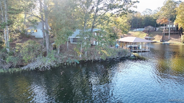 property view of water with a boat dock