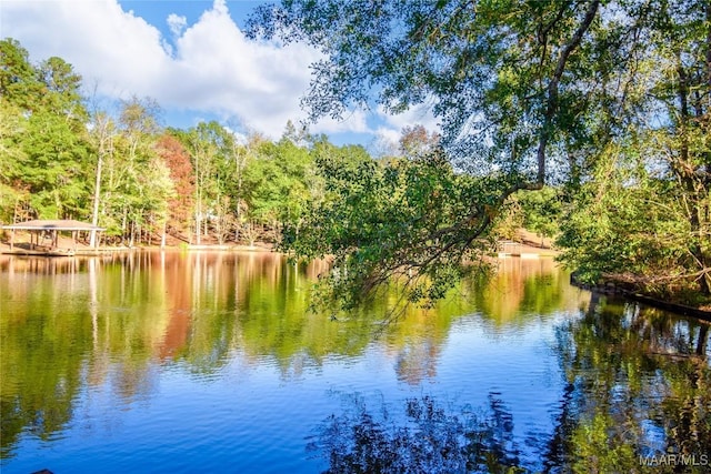 171 Griffith Ln, Tallassee, AL 36078 - water view with a heavily wooded area