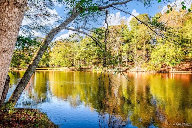 171 Griffith Ln, Tallassee, AL 36078 - water view featuring a forest