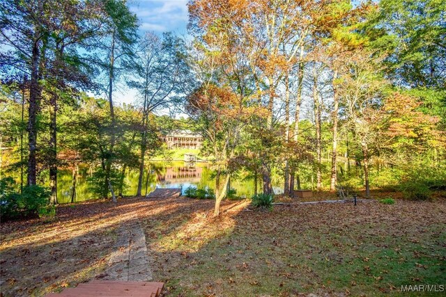 171 Griffith Ln, Tallassee, AL 36078 - view of yard