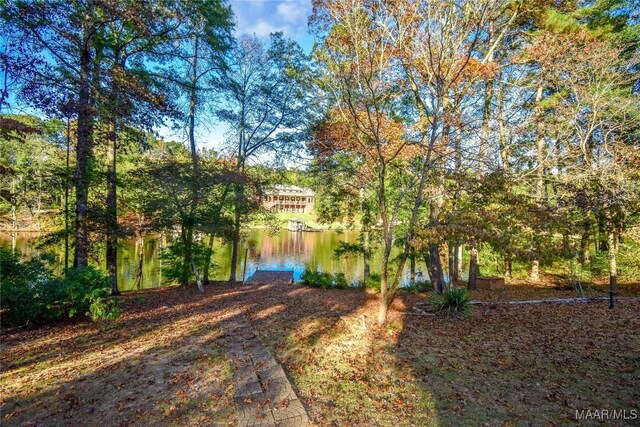 171 Griffith Ln, Tallassee, AL 36078 - view of yard with a water view