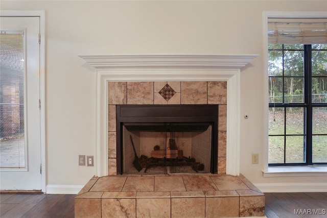 room details featuring a fireplace and hardwood / wood-style floors