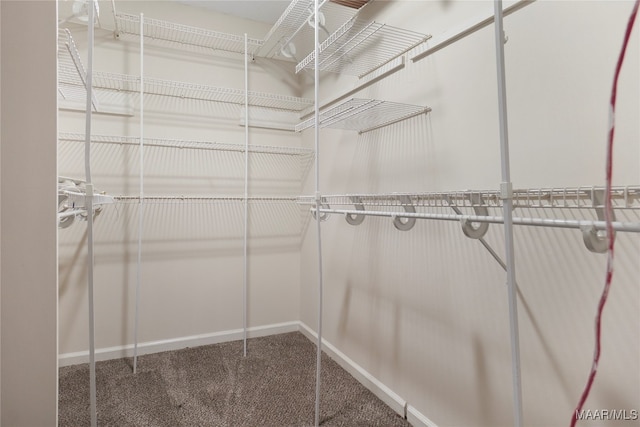 spacious closet featuring carpet floors