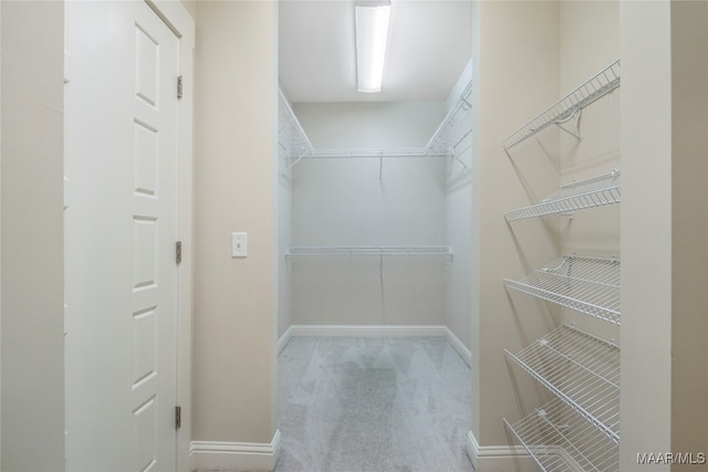 spacious closet with light carpet