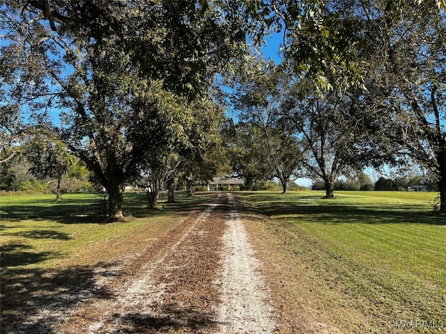 view of street