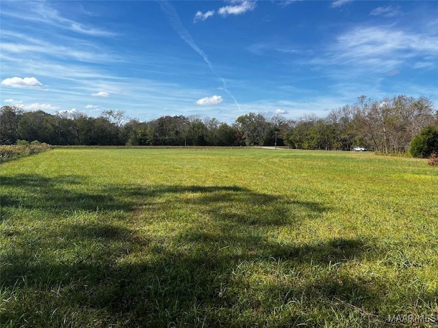 10521 US Highway 31, Hope Hull, AL 36043 - view of grassy yard featuring a view of countryside and a wooded view