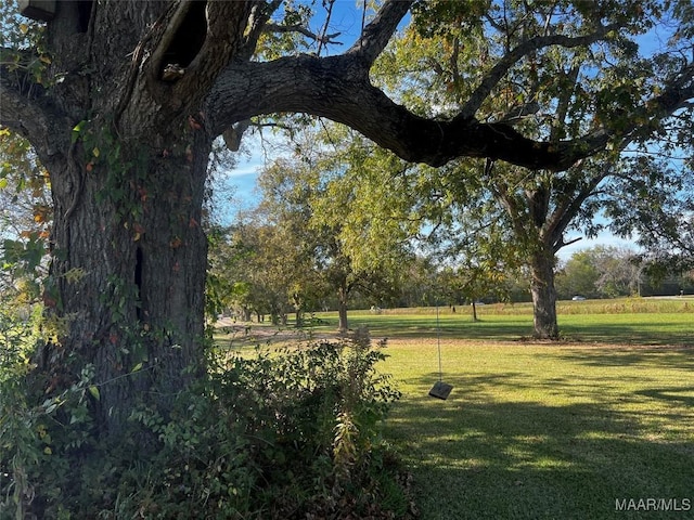 10521 US Highway 31, Hope Hull, AL 36043 - view of grassy yard