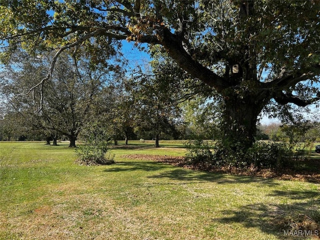 10521 US Highway 31, Hope Hull, AL 36043 - view of grassy yard