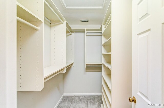 walk in closet featuring visible vents and carpet flooring