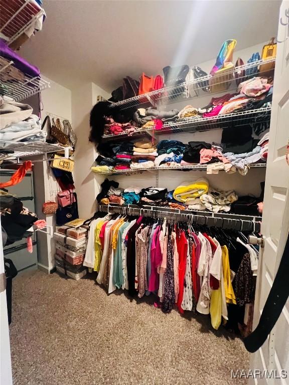 spacious closet featuring carpet