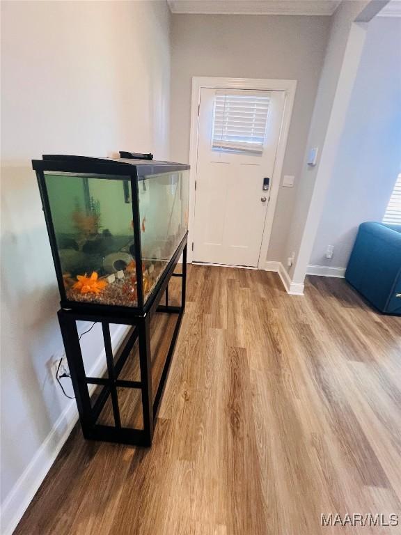 entryway with hardwood / wood-style flooring