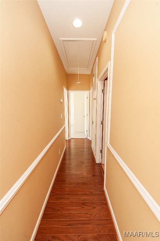 hallway with wood-type flooring