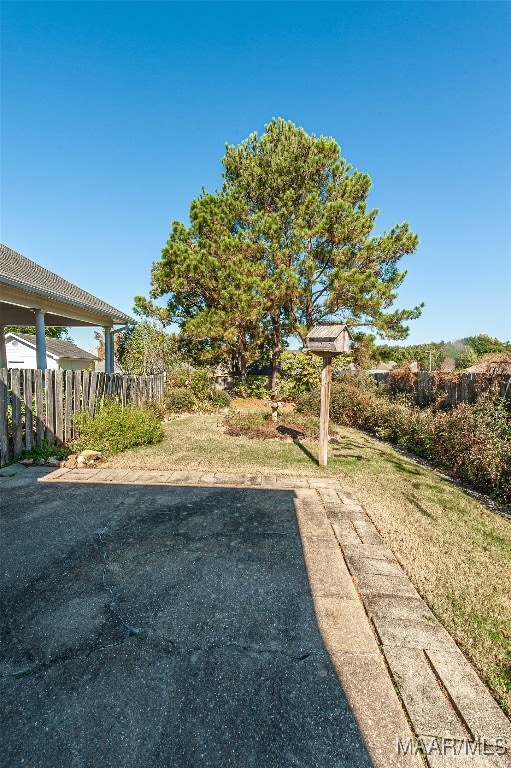 view of yard featuring a patio