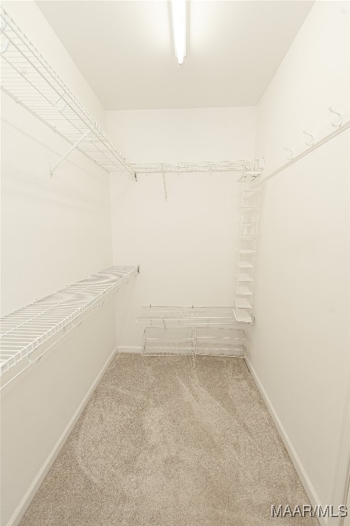 walk in closet with carpet