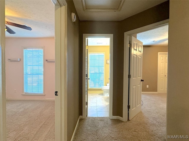 hall featuring light carpet and a textured ceiling