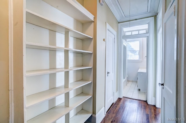 corridor with dark wood-type flooring