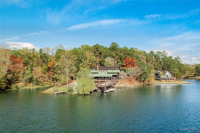 view of water feature featuring a dock