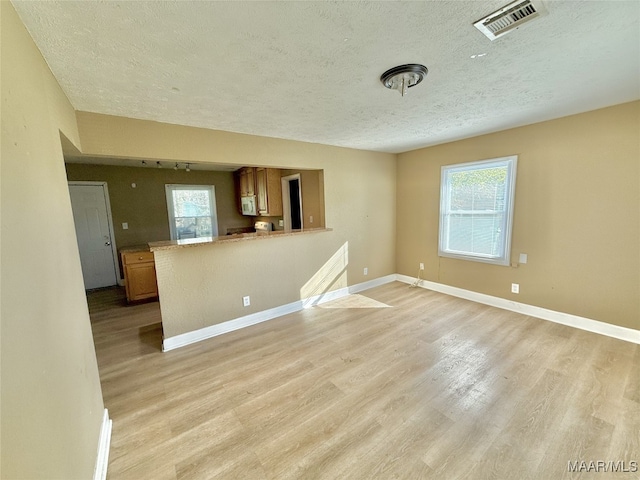 unfurnished living room with a wealth of natural light, light hardwood / wood-style floors, and a textured ceiling