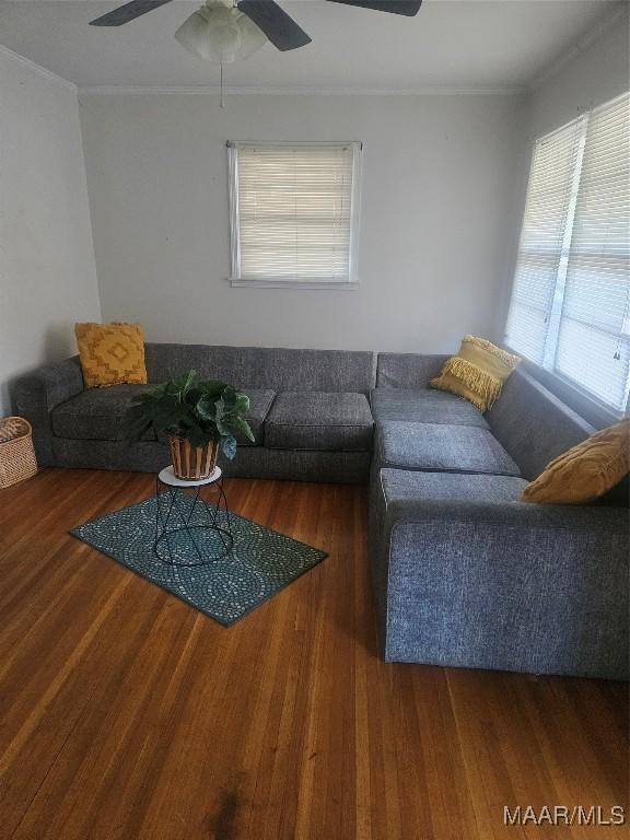 living room with ceiling fan, dark hardwood / wood-style flooring, crown molding, and plenty of natural light