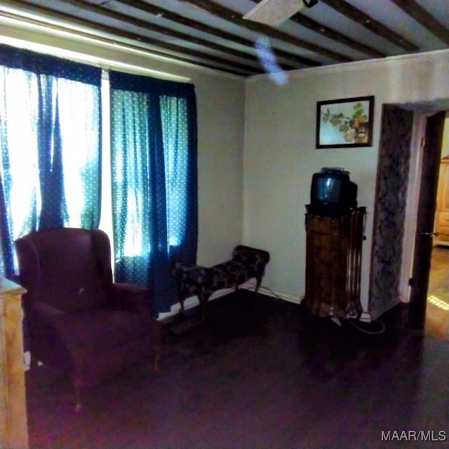 living area featuring beam ceiling and a wealth of natural light