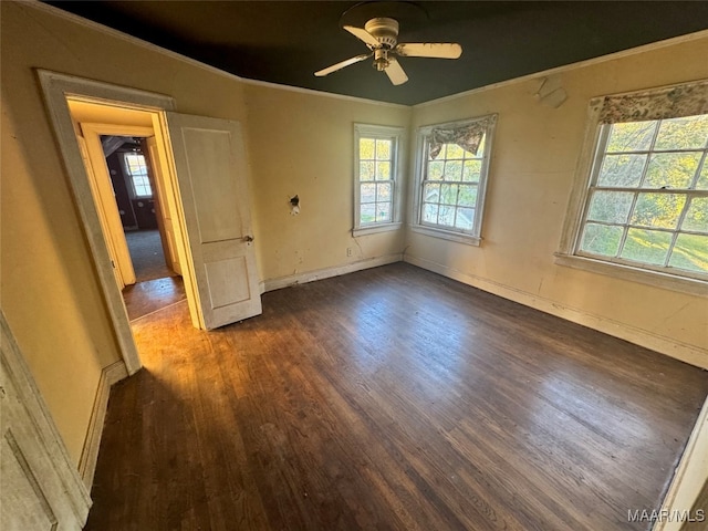 unfurnished room with dark hardwood / wood-style floors, ceiling fan, and crown molding