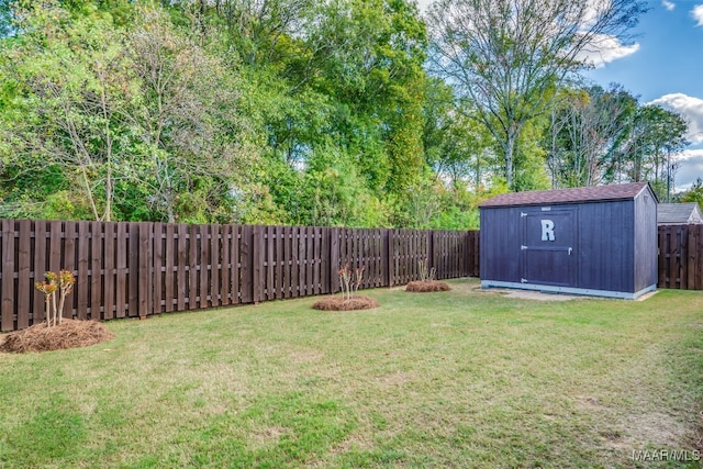 view of yard with a storage unit