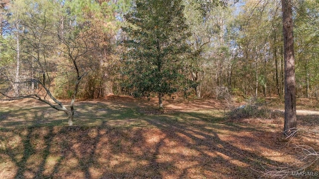 view of yard with a forest view