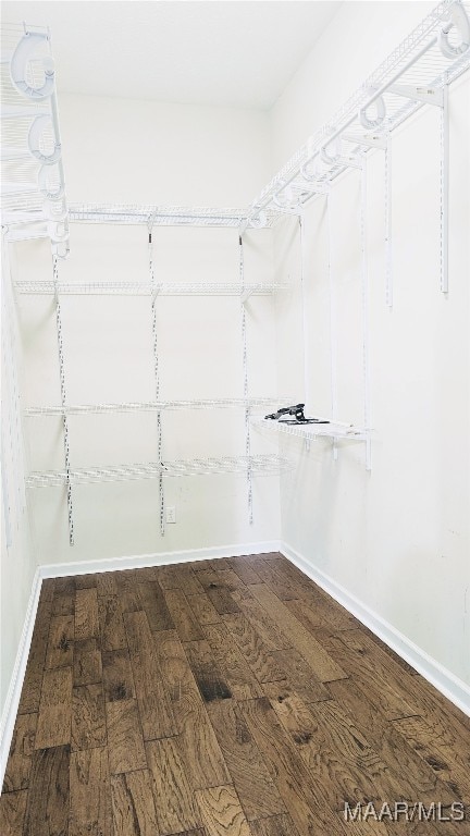 walk in closet featuring dark hardwood / wood-style flooring