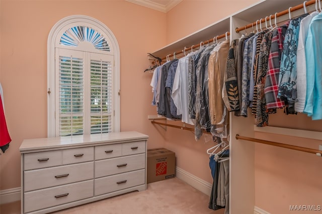 walk in closet with light carpet