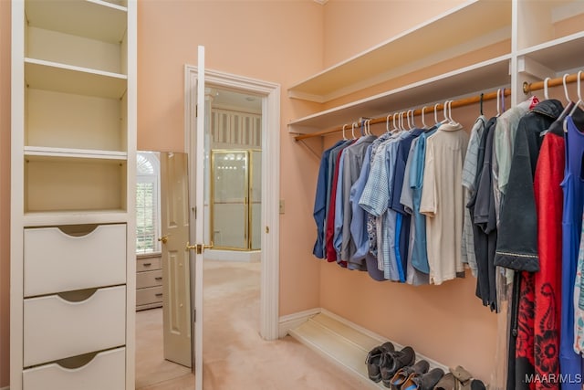 spacious closet with light colored carpet