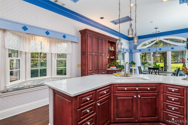 kitchen with sink, a healthy amount of sunlight, crown molding, and dark wood-type flooring