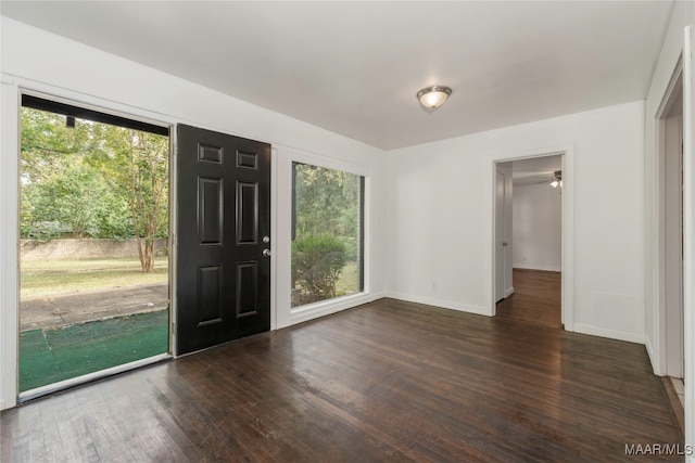 foyer with plenty of natural light and dark hardwood / wood-style floors