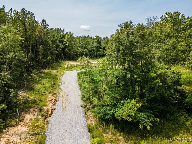 230 Merrill Ln, Deatsville, AL 36022 - photo 1