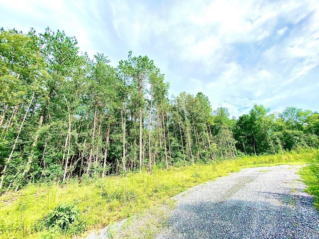 Listing photo 3 for 230 Merrill Ln, Deatsville AL 36022