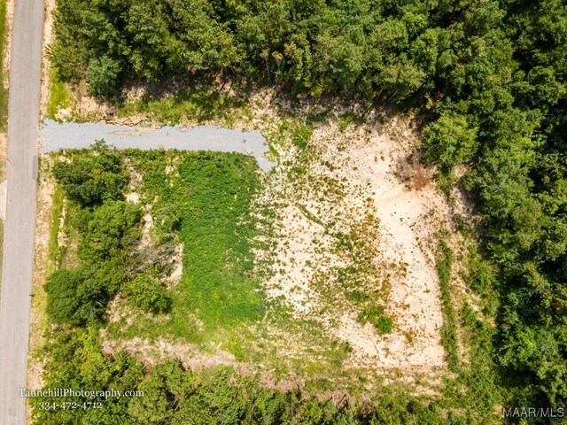 230 Merrill Ln, Deatsville, AL 36022 - photo 9