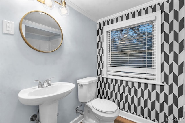 bathroom featuring toilet, ornamental molding, and sink