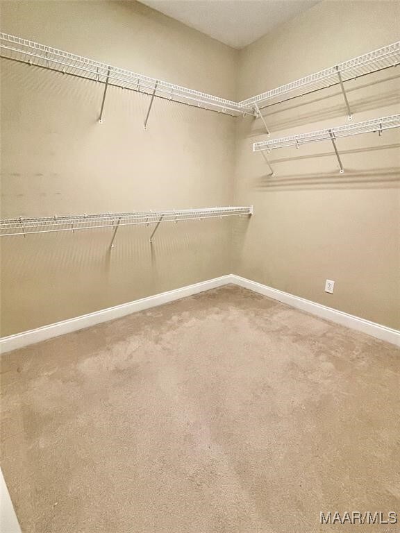 walk in closet with carpet