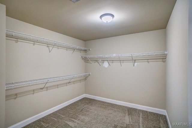 walk in closet with carpet flooring