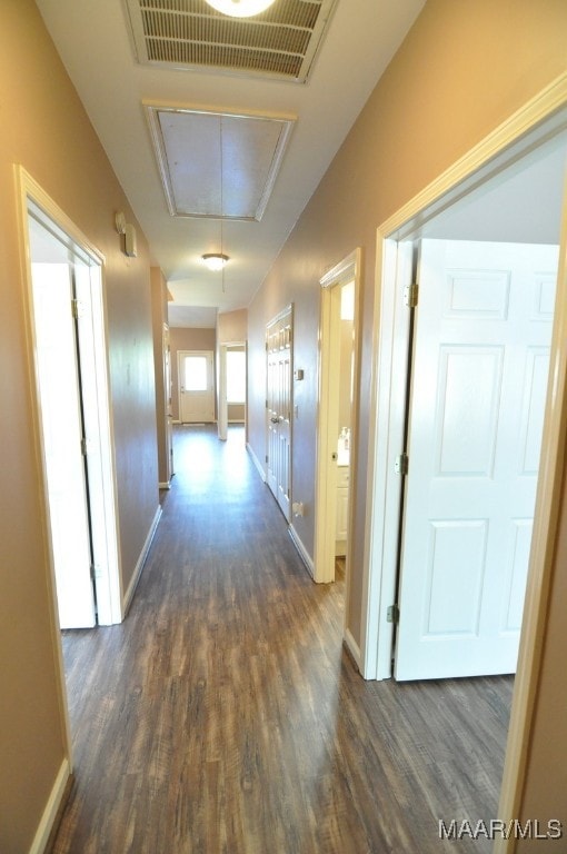 hallway with dark hardwood / wood-style flooring