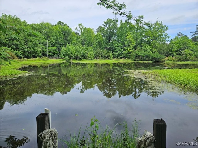 water view