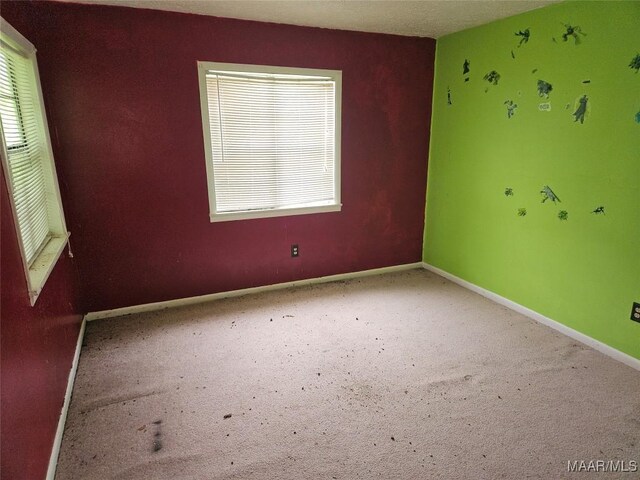 18354 Troy Hwy, Mathews, AL 36052 - photo 18