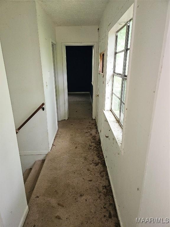 corridor with carpet and a textured ceiling