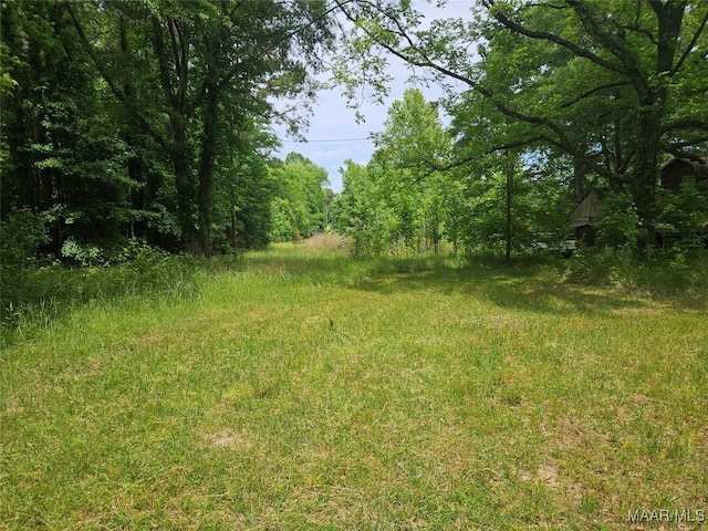 view of local wilderness