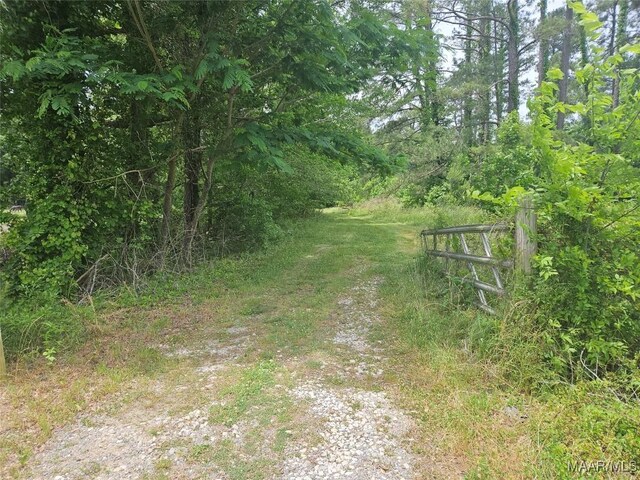 18354 Troy Hwy, Mathews, AL 36052 - photo 28