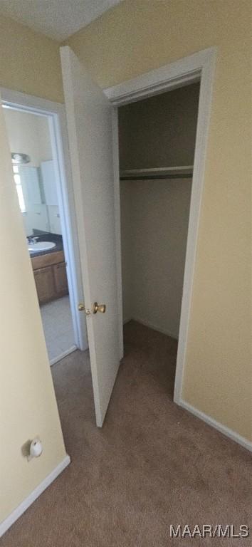 closet with sink