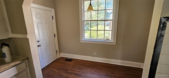 doorway with dark hardwood / wood-style floors and plenty of natural light