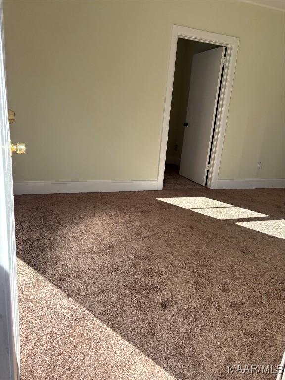 spare room with carpet