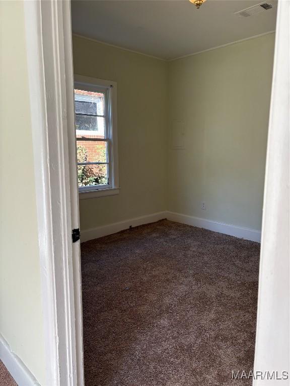 spare room with carpet flooring