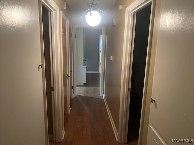 hallway with hardwood / wood-style flooring